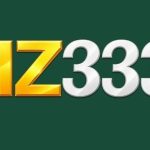 HZ333 Game Logo